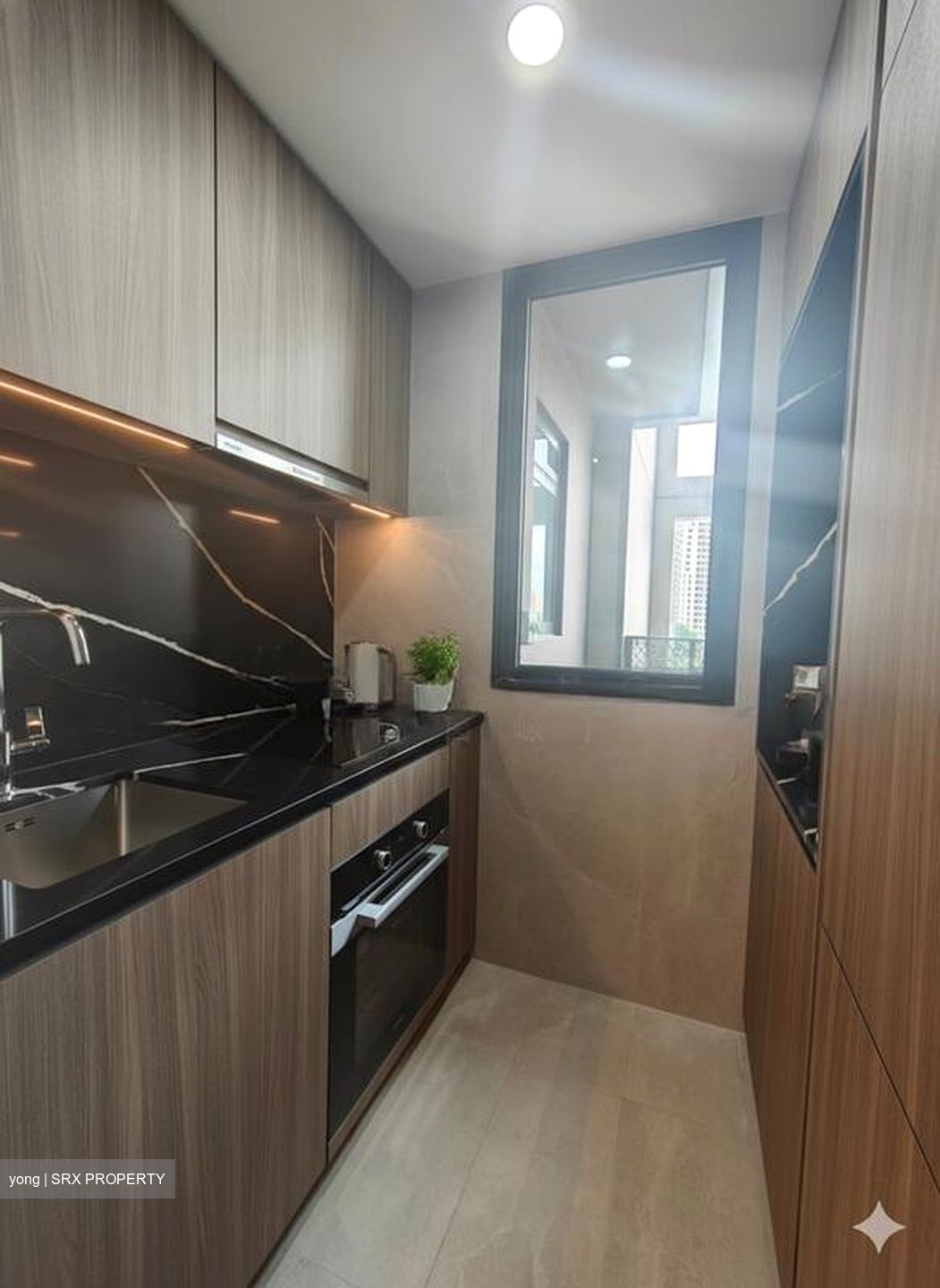 Irwell Hill Residences (D9), Apartment #500619821